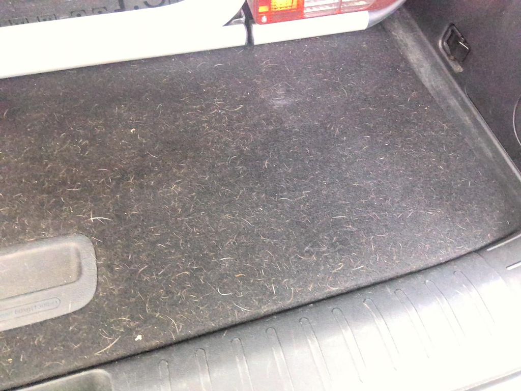 Foto 54 van Kia EV6