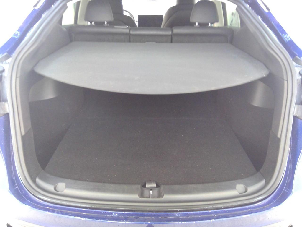 Foto 9 van Tesla Model Y