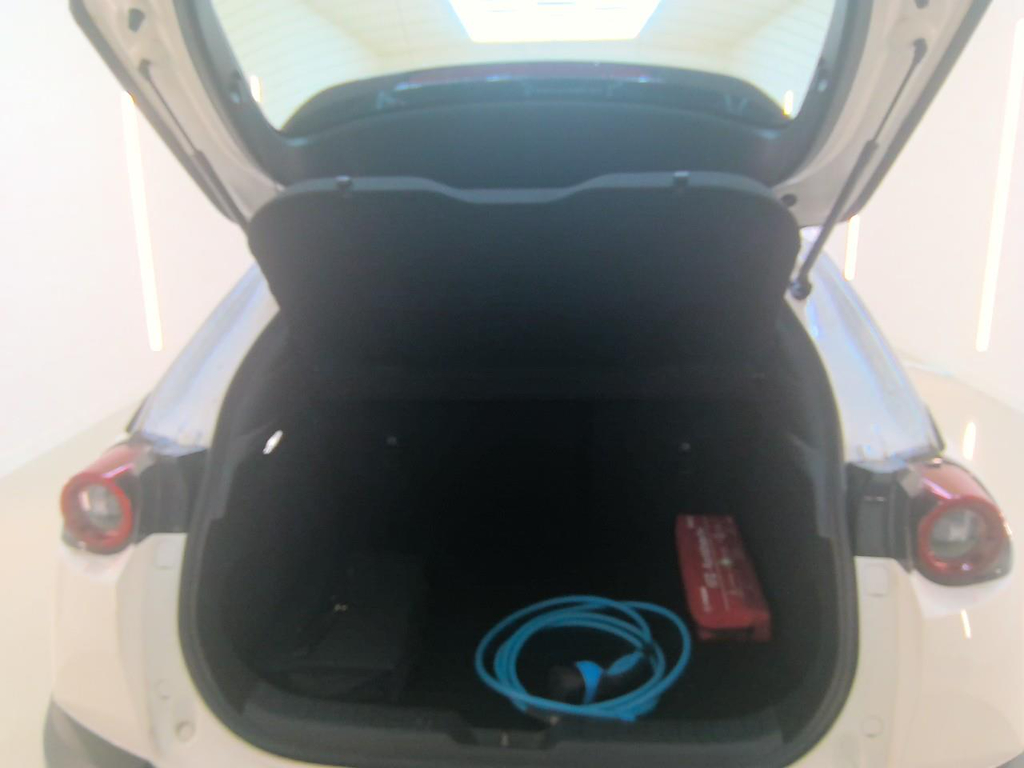 Foto 10 van Mazda MX-30