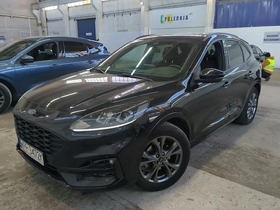 Kaufe FORD Kuga bei Ayvens Carmarket