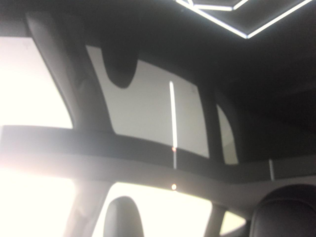 Foto 16 van Tesla Model Y