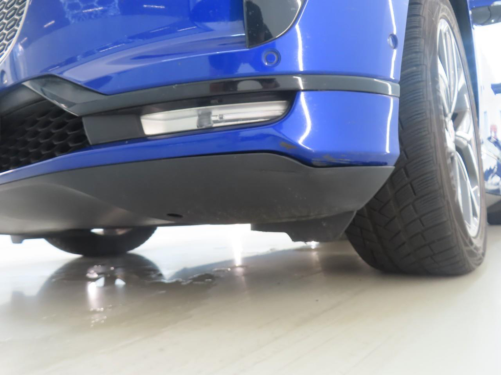 Foto 27 van Jaguar I-Pace
