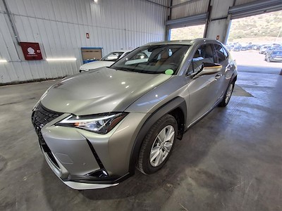 Buy LEXUS UX on Ayvens Carmarket