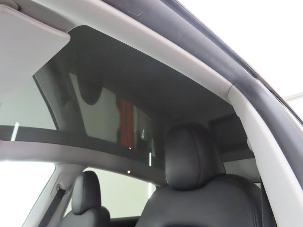 Foto 16 van Tesla Model Y