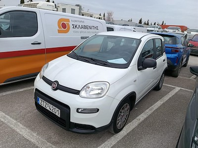 Buy FIAT PANDA on Ayvens Carmarket